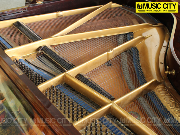 Hình ảnh Đàn Grand Hagspiel 153 tại Music City Hình ảnh Đàn Grand Hagspiel 153 tại Music City