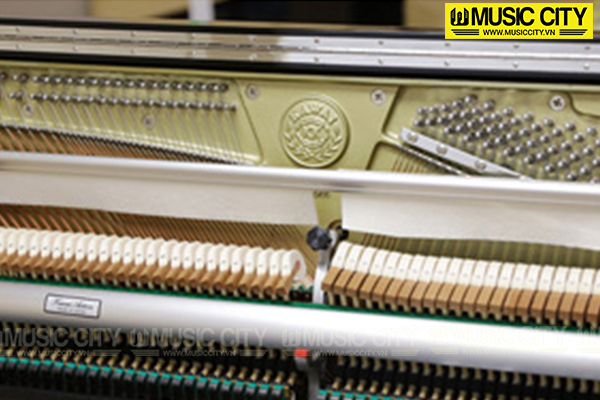 Music City – Tổng Kho Piano, Guitar, Organ | Dịch Vụ Giáo Dục Âm Nhạc
