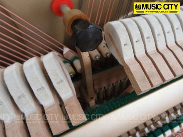 Music City – Tổng Kho Piano, Guitar, Organ | Dịch Vụ Giáo Dục Âm Nhạc