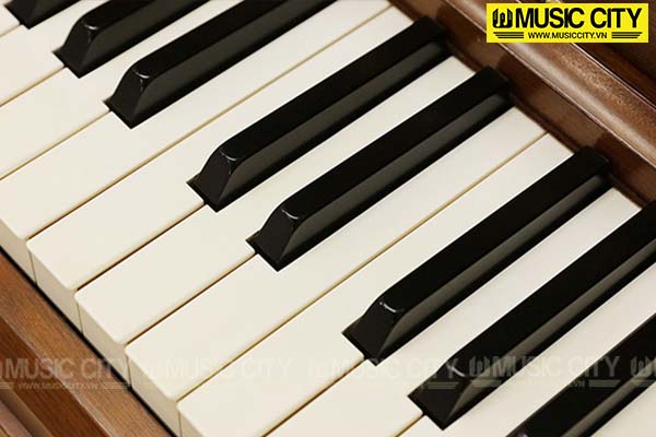 Hình ảnh Đàn Piano Kawai C81F tại Music City