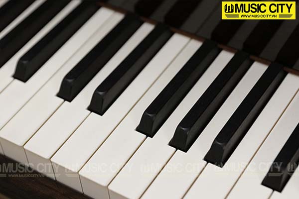 Music City – Tổng Kho Piano, Guitar, Organ | Dịch Vụ Giáo Dục Âm Nhạc