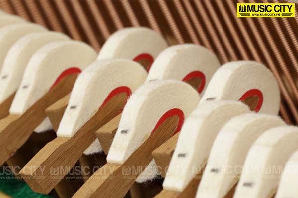Music City – Tổng Kho Piano, Guitar, Organ | Dịch Vụ Giáo Dục Âm Nhạc