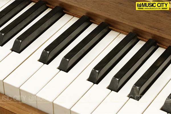 Music City – Tổng Kho Piano, Guitar, Organ | Dịch Vụ Giáo Dục Âm Nhạc