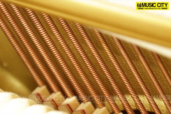 Music City – Tổng Kho Piano, Guitar, Organ | Dịch Vụ Giáo Dục Âm Nhạc