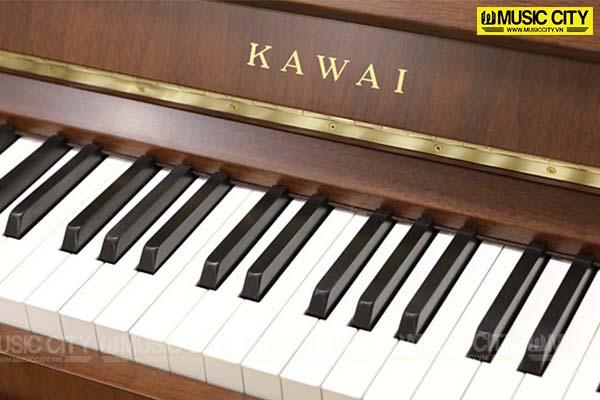 Music City – Tổng Kho Piano, Guitar, Organ | Dịch Vụ Giáo Dục Âm Nhạc