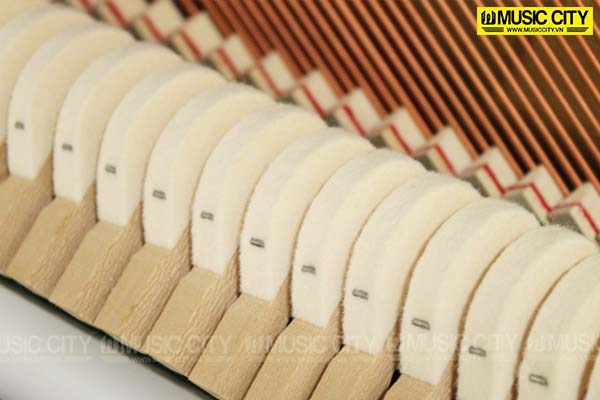 Music City – Tổng Kho Piano, Guitar, Organ | Dịch Vụ Giáo Dục Âm Nhạc