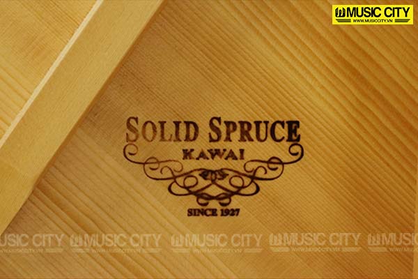 Music City – Tổng Kho Piano, Guitar, Organ | Dịch Vụ Giáo Dục Âm Nhạc