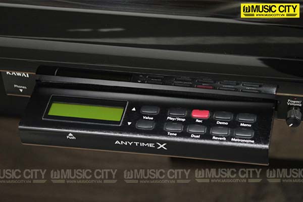 Music City – Tổng Kho Piano, Guitar, Organ | Dịch Vụ Giáo Dục Âm Nhạc