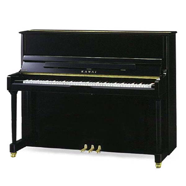 Music City – Tổng Kho Piano, Guitar, Organ | Dịch Vụ Giáo Dục Âm Nhạc