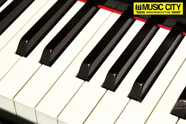 Music City – Tổng Kho Piano, Guitar, Organ | Dịch Vụ Giáo Dục Âm Nhạc