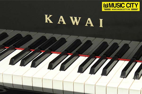 Music City – Tổng Kho Piano, Guitar, Organ | Dịch Vụ Giáo Dục Âm Nhạc