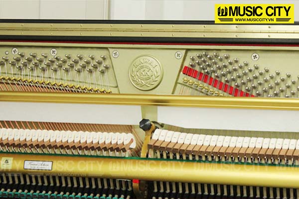 Music City – Tổng Kho Piano, Guitar, Organ | Dịch Vụ Giáo Dục Âm Nhạc