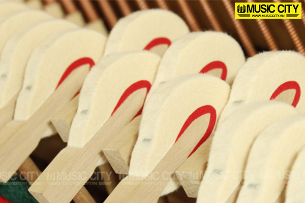 Music City – Tổng Kho Piano, Guitar, Organ | Dịch Vụ Giáo Dục Âm Nhạc
