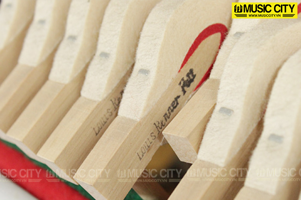 Music City – Tổng Kho Piano, Guitar, Organ | Dịch Vụ Giáo Dục Âm Nhạc