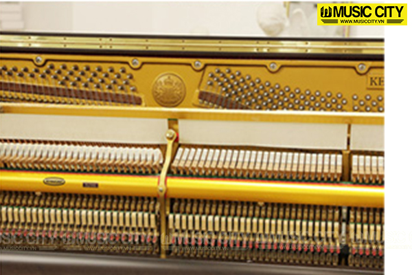Music City – Tổng Kho Piano, Guitar, Organ | Dịch Vụ Giáo Dục Âm Nhạc