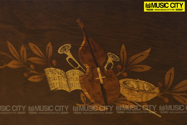Music City – Tổng Kho Piano, Guitar, Organ | Dịch Vụ Giáo Dục Âm Nhạc