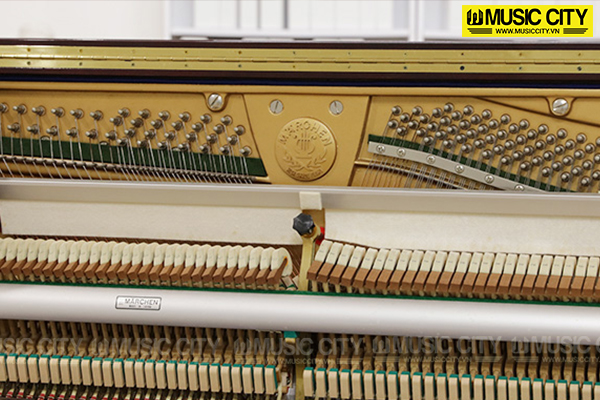 Music City – Tổng Kho Piano, Guitar, Organ | Dịch Vụ Giáo Dục Âm Nhạc
