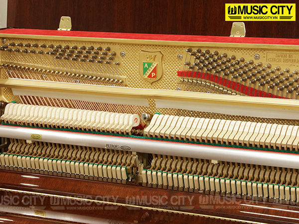 Hình ảnh Đàn Piano Petrof P115I tại Music City Hình ảnh Đàn Piano Petrof P115I tại Music City
