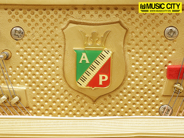 Hình ảnh Đàn Piano Petrof P115I tại Music City Hình ảnh Đàn Piano Petrof P115I tại Music City