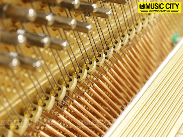 Hình ảnh Đàn Piano Petrof P115I tại Music City Hình ảnh Đàn Piano Petrof P115I tại Music City