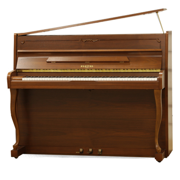 Music City – Tổng Kho Piano, Guitar, Organ | Dịch Vụ Giáo Dục Âm Nhạc