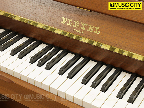 Music City – Tổng Kho Piano, Guitar, Organ | Dịch Vụ Giáo Dục Âm Nhạc