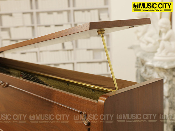 Music City – Tổng Kho Piano, Guitar, Organ | Dịch Vụ Giáo Dục Âm Nhạc