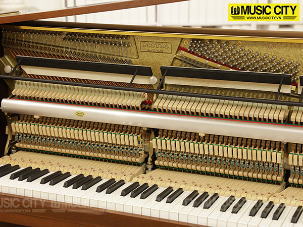 Music City – Tổng Kho Piano, Guitar, Organ | Dịch Vụ Giáo Dục Âm Nhạc