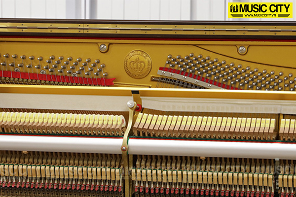 Music City – Tổng Kho Piano, Guitar, Organ | Dịch Vụ Giáo Dục Âm Nhạc