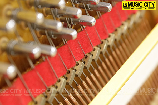 Music City – Tổng Kho Piano, Guitar, Organ | Dịch Vụ Giáo Dục Âm Nhạc