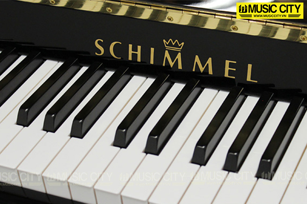 Music City – Tổng Kho Piano, Guitar, Organ | Dịch Vụ Giáo Dục Âm Nhạc