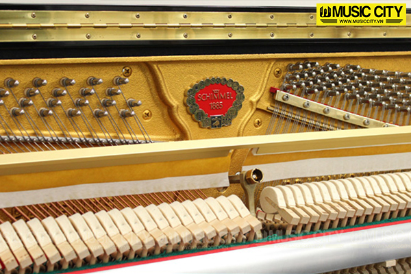 Music City – Tổng Kho Piano, Guitar, Organ | Dịch Vụ Giáo Dục Âm Nhạc