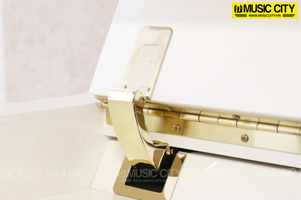 Hình ảnh Đàn Piano Wendl & Lung AU118Wh tại Music City