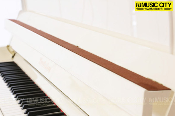 Music City – Tổng Kho Piano, Guitar, Organ | Dịch Vụ Giáo Dục Âm Nhạc