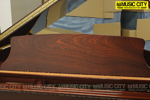 Music City – Tổng Kho Piano, Guitar, Organ | Dịch Vụ Giáo Dục Âm Nhạc