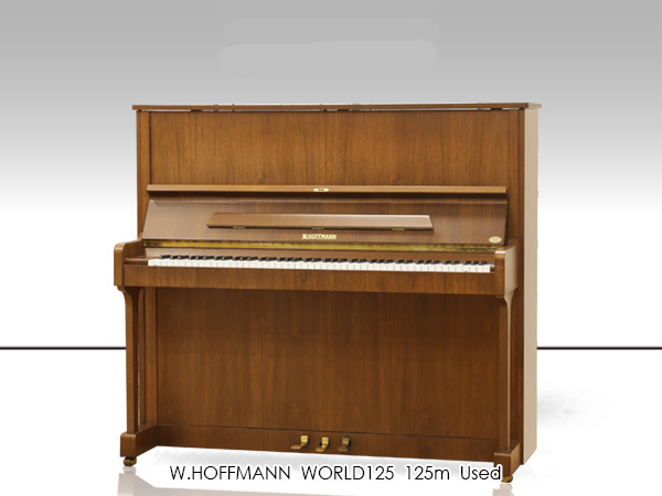 Music City – Tổng Kho Piano, Guitar, Organ | Dịch Vụ Giáo Dục Âm Nhạc