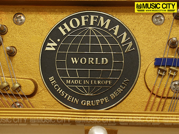 Hình ảnh Đàn Piano W.Hoffmann World 125 tại Music City Hình ảnh Đàn Piano W.Hoffmann World 125 tại Music City