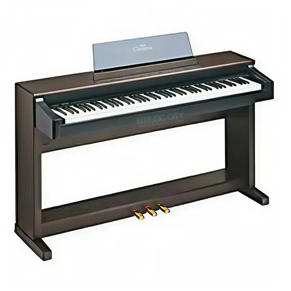 Music City – Tổng Kho Piano, Guitar, Organ | Dịch Vụ Giáo Dục Âm Nhạc