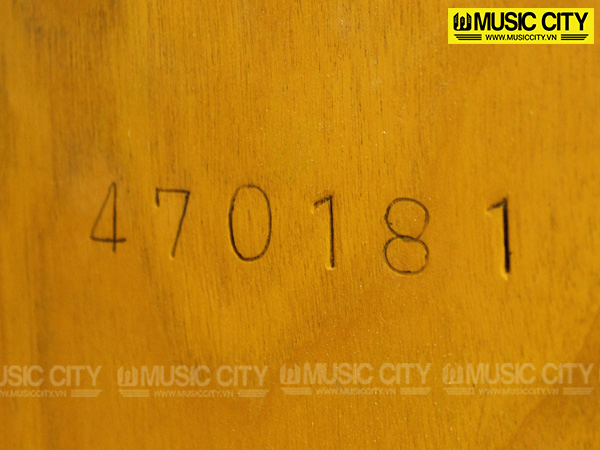 Music City – Tổng Kho Piano, Guitar, Organ | Dịch Vụ Giáo Dục Âm Nhạc