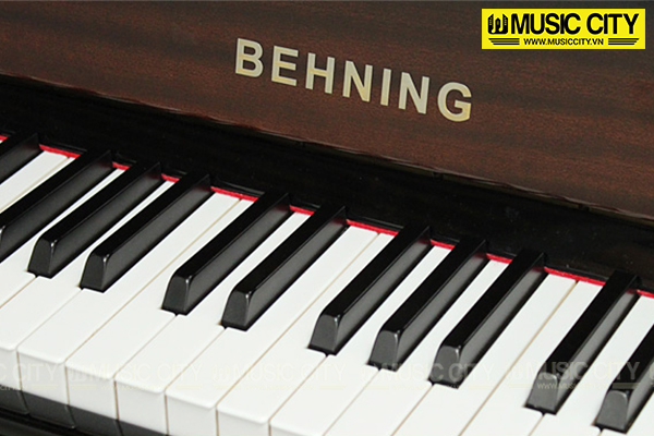 Music City – Tổng Kho Piano, Guitar, Organ | Dịch Vụ Giáo Dục Âm Nhạc