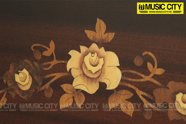 Music City – Tổng Kho Piano, Guitar, Organ | Dịch Vụ Giáo Dục Âm Nhạc