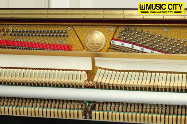 Music City – Tổng Kho Piano, Guitar, Organ | Dịch Vụ Giáo Dục Âm Nhạc