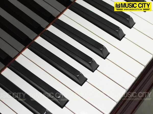 Hình ảnh Đàn Grand Bockler AG200 tại Music City