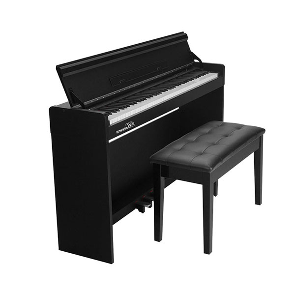 Music City – Tổng Kho Piano, Guitar, Organ | Dịch Vụ Giáo Dục Âm Nhạc
