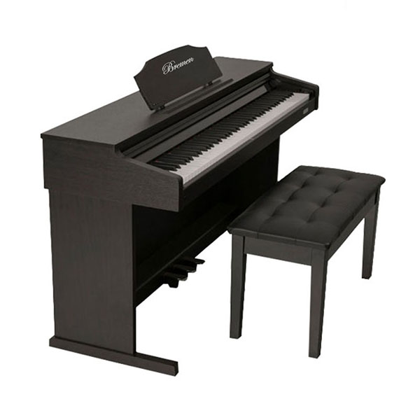 Music City – Tổng Kho Piano, Guitar, Organ | Dịch Vụ Giáo Dục Âm Nhạc