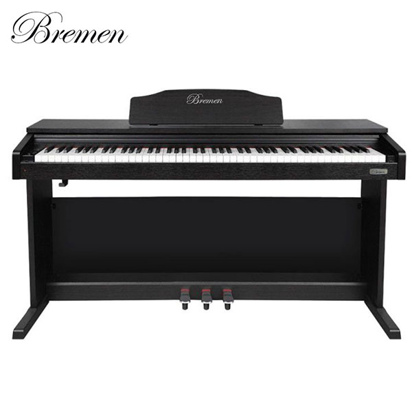 Music City – Tổng Kho Piano, Guitar, Organ | Dịch Vụ Giáo Dục Âm Nhạc