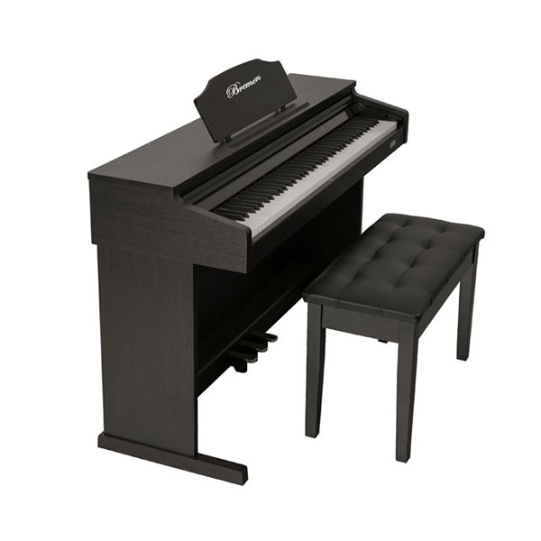 Music City – Tổng Kho Piano, Guitar, Organ | Dịch Vụ Giáo Dục Âm Nhạc