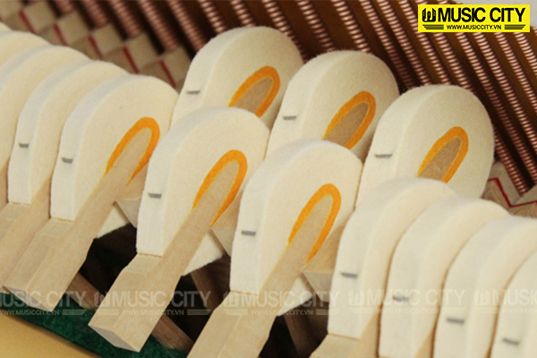 Music City – Tổng Kho Piano, Guitar, Organ | Dịch Vụ Giáo Dục Âm Nhạc