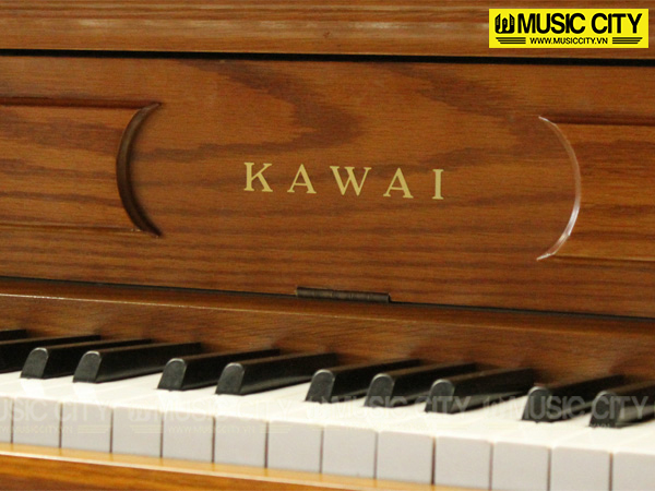 Music City – Tổng Kho Piano, Guitar, Organ | Dịch Vụ Giáo Dục Âm Nhạc