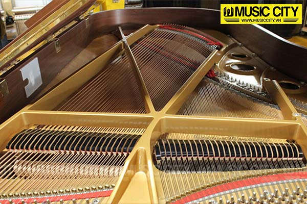 Music City – Tổng Kho Piano, Guitar, Organ | Dịch Vụ Giáo Dục Âm Nhạc